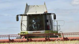Bientôt la fin des moissons, et le début des semis Bientôt la fin des moissons, et le début des semis