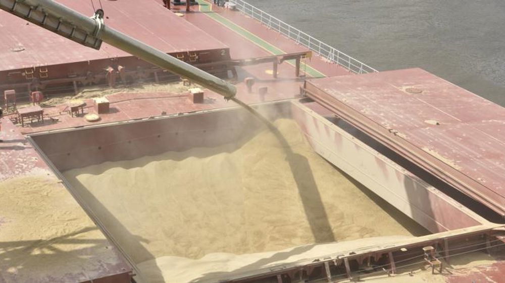 Fortes variations des prix des céréales et des oléagineux