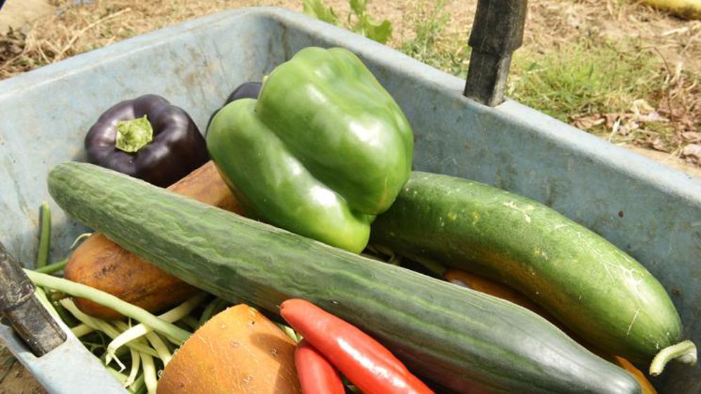 Les eurodéputés valident la stratégie « de la ferme à la fourchette »