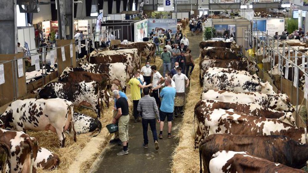 Au Space, les éleveurs sont en quête de reconnaissance