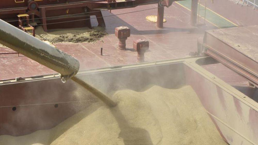 Rebond généralisé du blé au colza