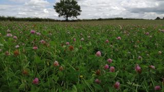 Des rendements fourragers exceptionnels à la ferme bio des Bordes Des rendements fourragers exceptionnels à la ferme bio des Bordes