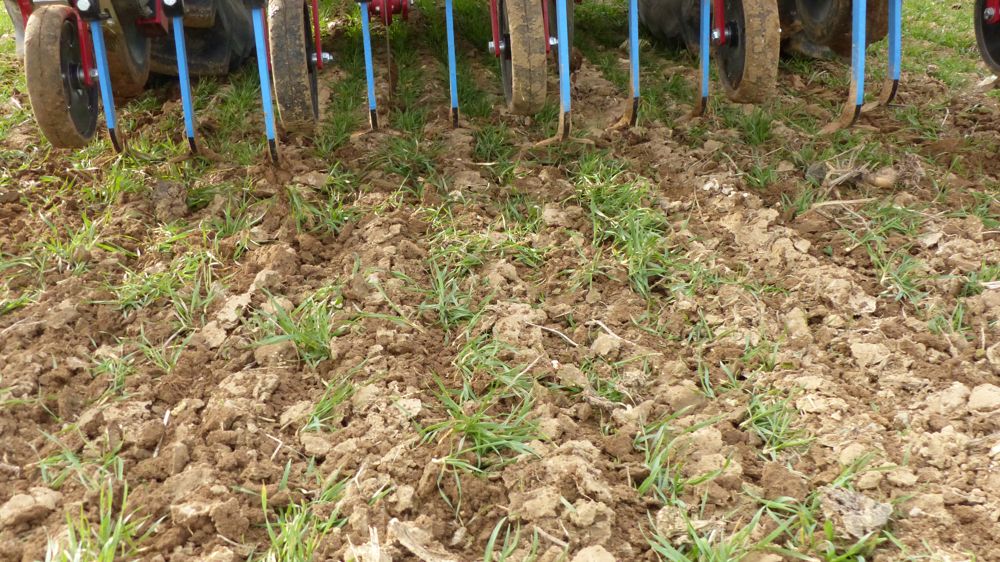 l’avenir des CEPP est mis en consultation