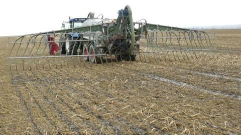 Le seuil de déchets verts dans les composts de boues d’épuration est fixé Le seuil de déchets verts dans les composts de boues d’épuration est fixé