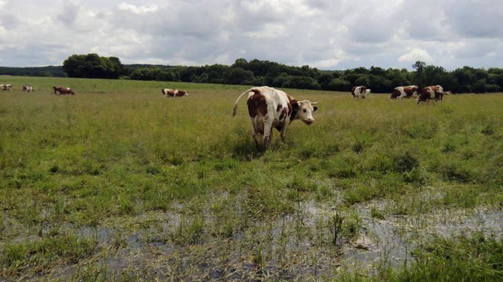 Deux nouveaux arrêtés publiés suite à des inondations