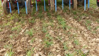 Miser sur la synergie des alternatives aux phytos Miser sur la synergie des alternatives aux phytos