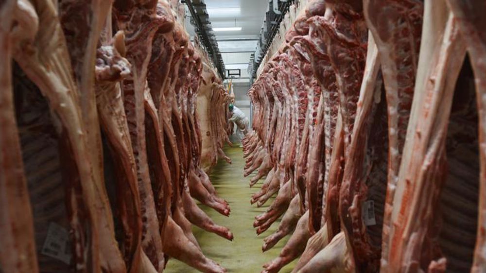 Les cours du porc chutent