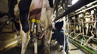 Le prix du lait européen atteint 364 €/1 000 litres en août Le prix du lait européen atteint 364 €/1 000 litres en août