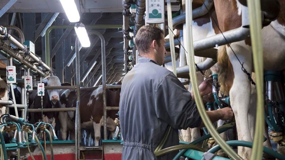 L’exploitation ne rapporte qu’un tiers du revenu familial