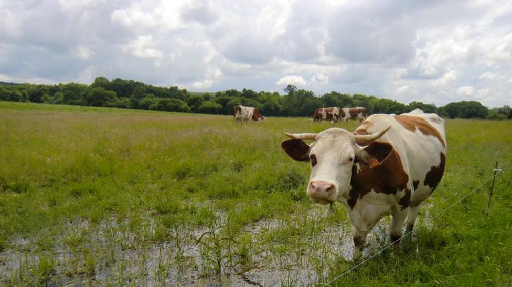 Un arrêté de catastrophe naturelle publié au Journal officiel