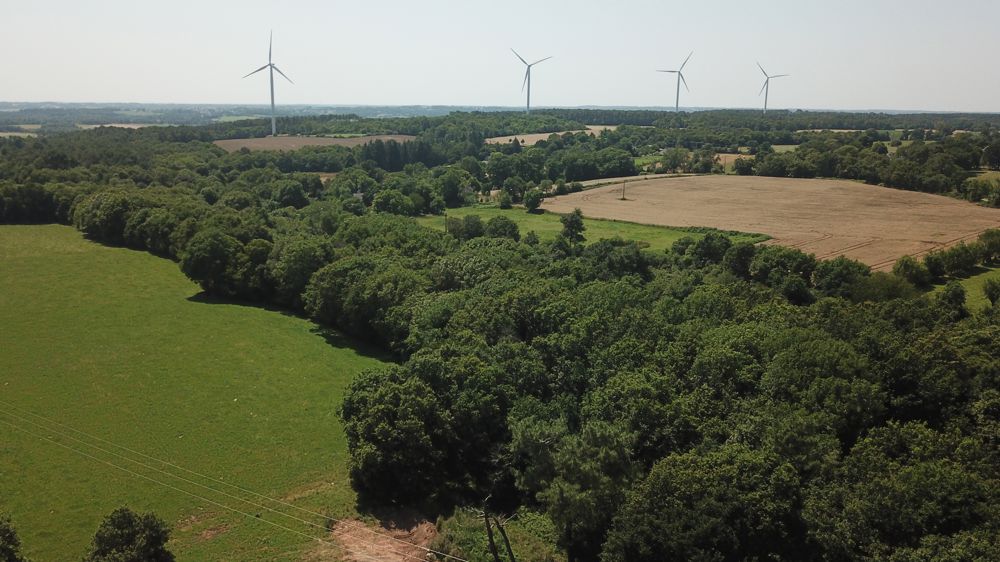 Top départ des Assises de la forêt et du bois