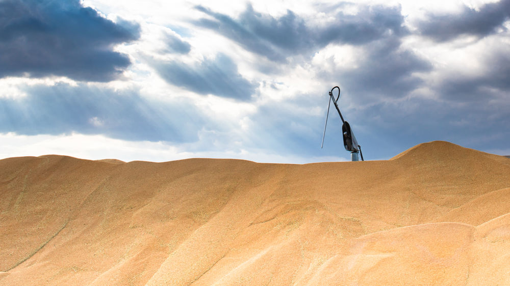 La consommation de céréales en forte hausse sur un an