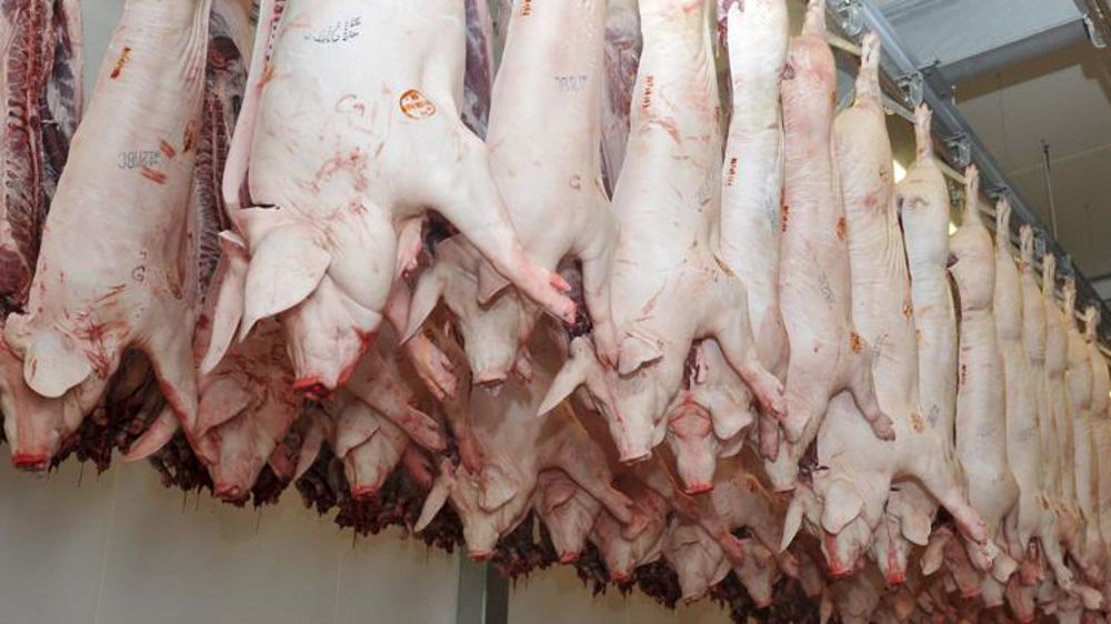 La baisse du prix du porc se poursuit