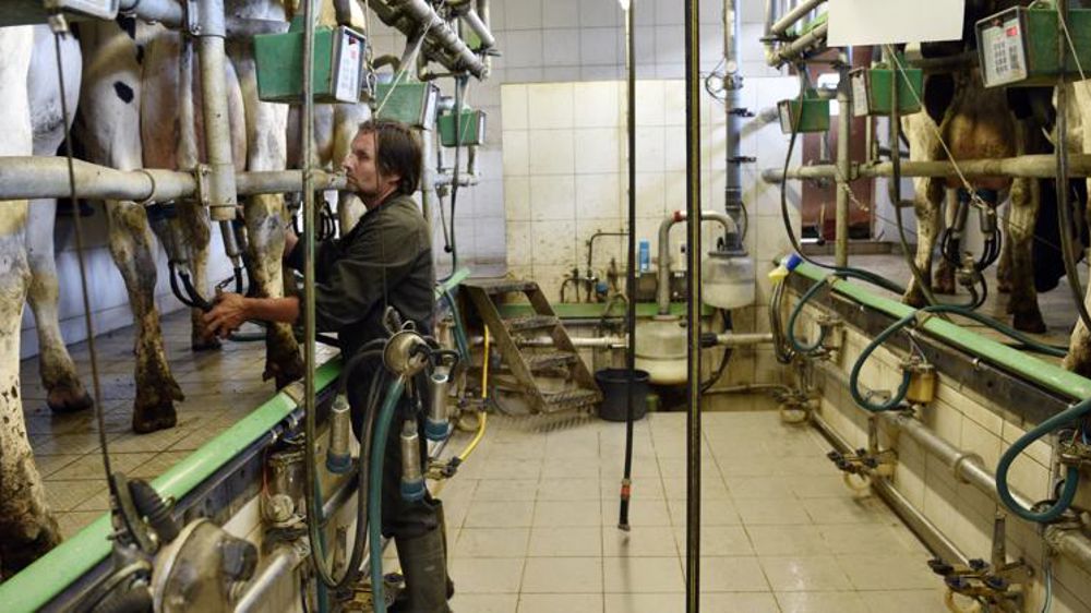 Le prix du lait européen gagne 10 % en août