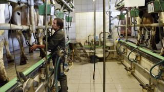 Le prix du lait européen gagne 10 % en août Le prix du lait européen gagne 10 % en août