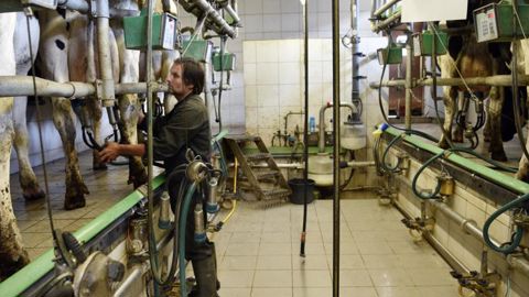 Le prix du lait européen gagne 10 % en août