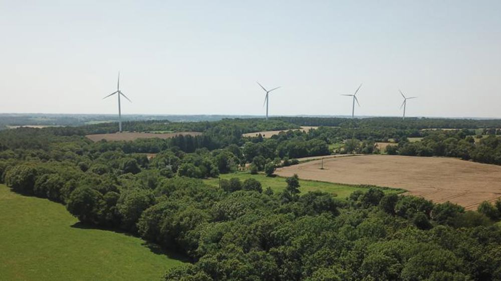 La stratégie de protection des forêts inquiète les 27