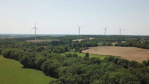 La stratégie de protection des forêts inquiète les 27 La stratégie de protection des forêts inquiète les 27