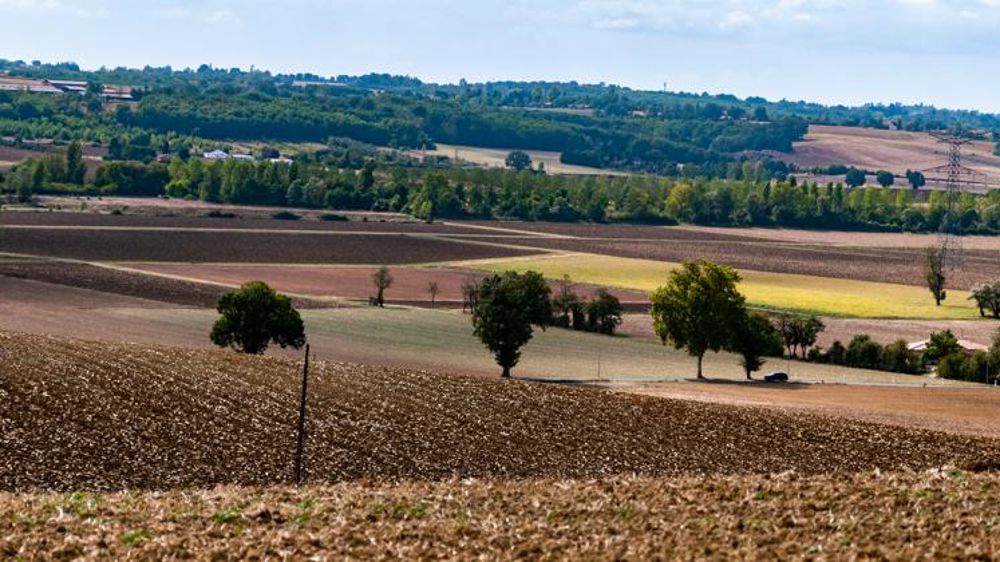 « La France doit devenir la première puissance agricole durable »