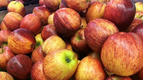 La production de pommes françaises chute de 10 % à cause du gel