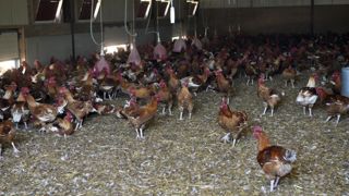 Votre installation répond-elle aux exigences de mise à l’abri ? Votre installation répond-elle aux exigences de mise à l’abri ?