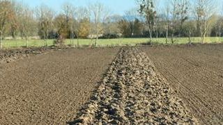 La fin des semis approche La fin des semis approche