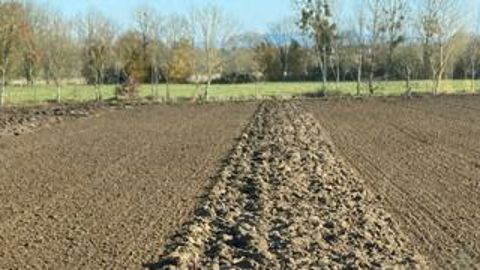 La fin des semis approche La fin des semis approche