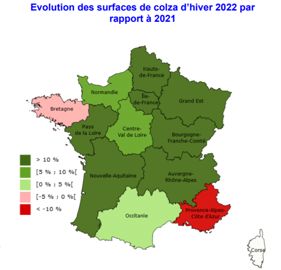 Évolution des surfaces de colza d’hiver 2022 par rapport à 2021. Source : Agreste