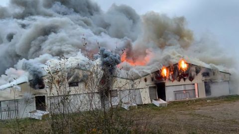 400 veaux périssent dans l’incendie d’un bâtiment de 1 300 m² 400 veaux périssent dans l’incendie d’un bâtiment de 1 300 m²