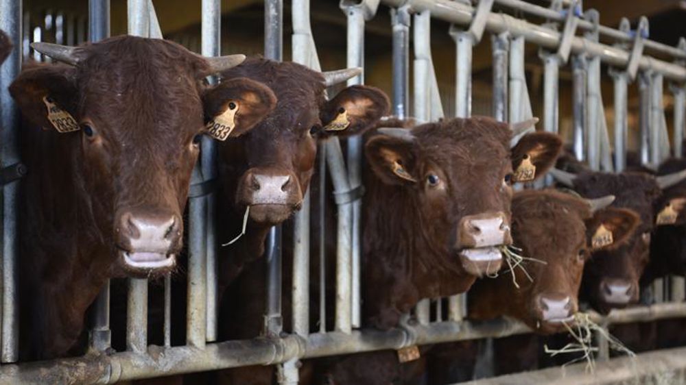 Quels acteurs ne sont pas soumis à l’obligation de contractualisation ?