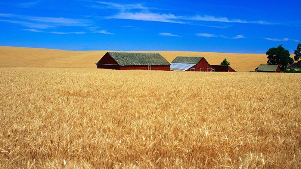 L’assurance récolte américaine, une chère réussite
