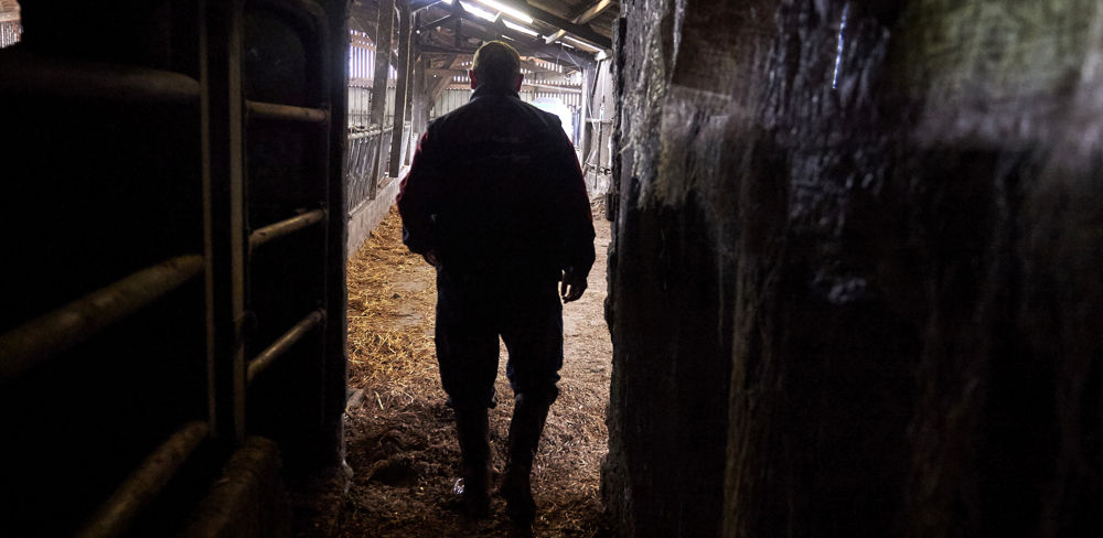 Seule la moitié des départements ont mis en place des cellules de prévention du suicide des agriculteurs.