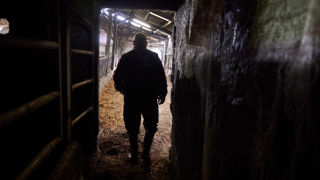 Seule la moitié des départements ont mis en place des cellules de prévention du suicide des agriculteurs. Seule la moitié des départements ont mis en place des cellules de prévention du suicide des agriculteurs.