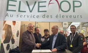 Philippe Pruvost, gérant du groupe Pruvost Leroy, et Philippe Auger, président d'Elvea France, ont signé un accord-cadre pour la valorisation de 500 premiers broutards charolais préparés, lors du Sommet de l'élevage le jeudi 6 octobre 2022. A droite sur la photo, Johan Larive, de MSD santé animale partenaire technique de ce projet Philippe Pruvost, gérant du groupe Pruvost Leroy, et Philippe Auger, président d'Elvea France, ont signé un accord-cadre pour la valorisation de 500 premiers broutards charolais préparés, lors du Sommet de l'élevage le jeudi 6 octobre 2022. A droite sur la photo, Johan Larive, de MSD santé animale partenaire technique de ce projet