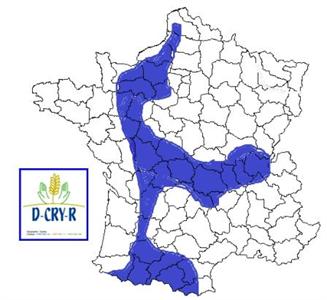 Couverture neigeuse de plus de 5 cm entre les 4 et 5  février à minuit.
