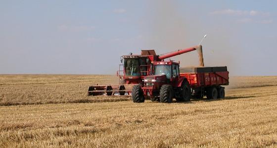 Les prévisions de récolte de blé aux Etats-Unis pour 2012 ont été revues à la hausse.