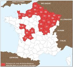 Carte virus de Schmallenberg