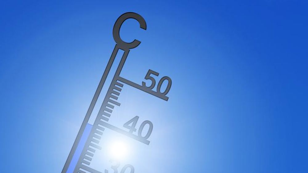 2019, une année chaude de plus