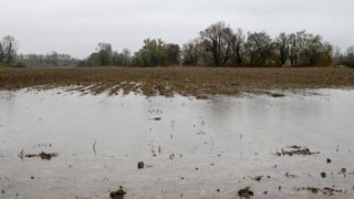Décembre doux, 2019 chaude Décembre doux, 2019 chaude