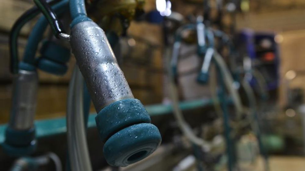 La collecte de lait de vache continue d’augmenter