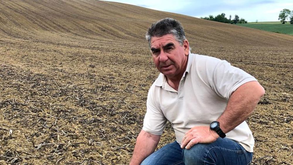 Moins d’IFT en production de semences