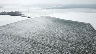 Un début de janvier assez sec et plutôt froid Un début de janvier assez sec et plutôt froid