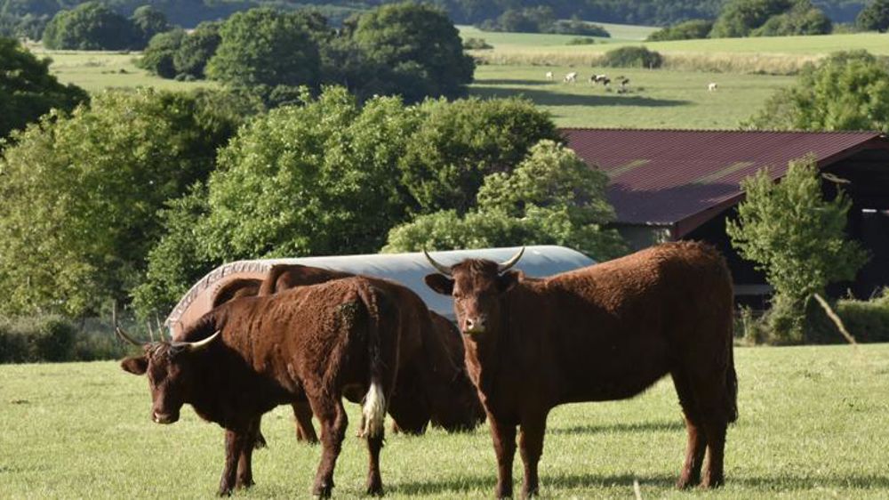 La Confédération paysanne dénonce l’appel
