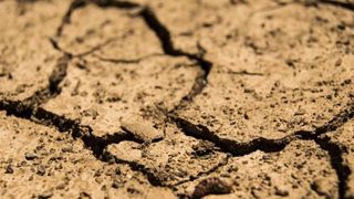 L’agriculture biologique aurait un impact négatif L’agriculture biologique aurait un impact négatif