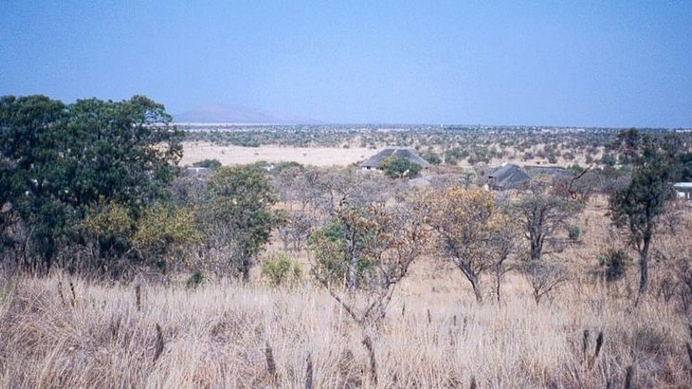 Un foyer de fièvre aphteuse en Afrique du Sud