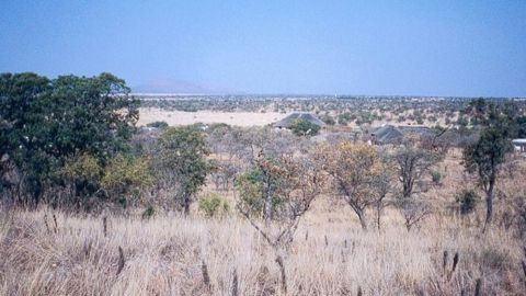 Un foyer de fièvre aphteuse en Afrique du Sud Un foyer de fièvre aphteuse en Afrique du Sud
