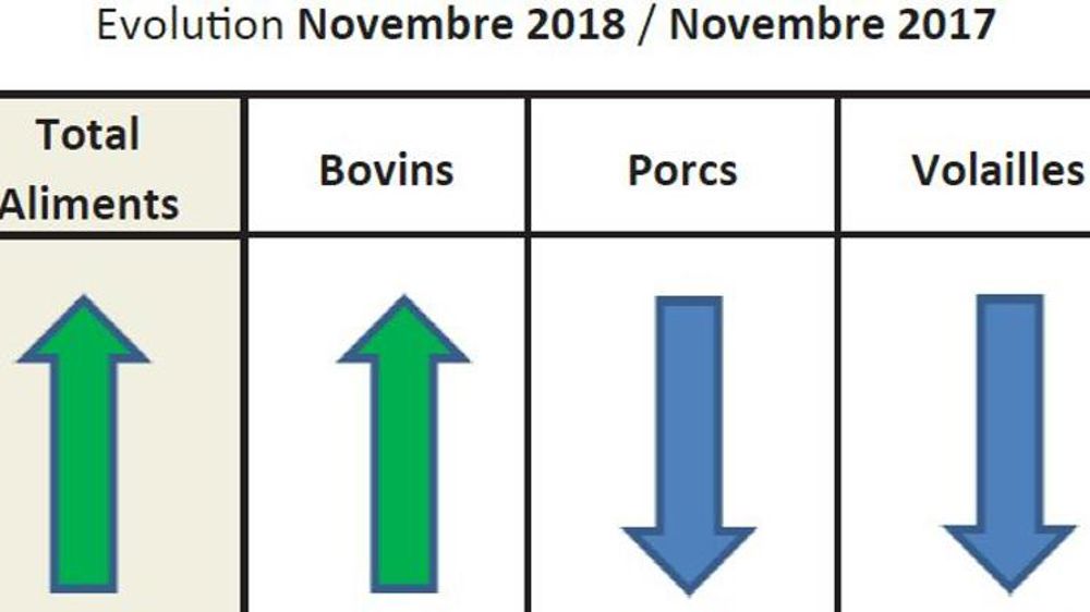 Nette progression des aliments bovins