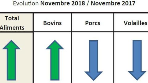 Nette progression des aliments bovins Nette progression des aliments bovins