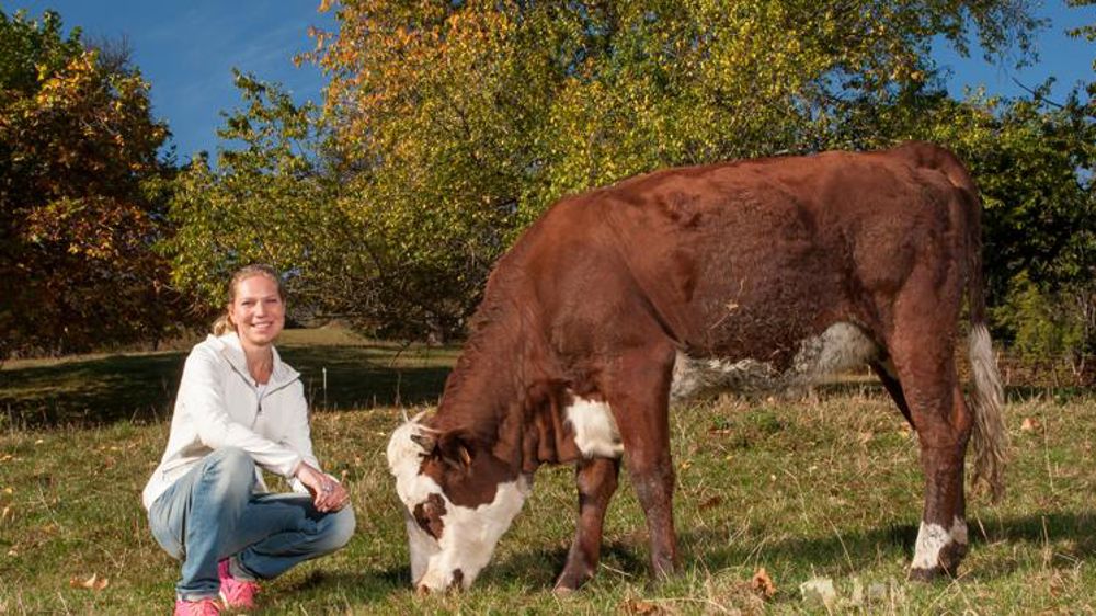 8,6 % d’installation aidées en plus en 2018