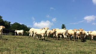 Un contentieux en préparation Un contentieux en préparation